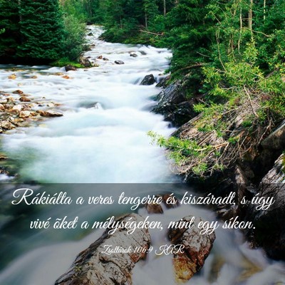 Picture 03 - Zsoltárok 106:9 KAR - Rákiálta a veres tengerre és kiszáradt, s - Bible Verse Picture