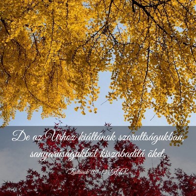 Picture 03 - Zsoltárok 107:13 KAR - De az Úrhoz kiáltának szorultságukban, - Bible Verse Picture