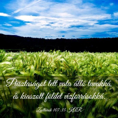 Picture 03 - Zsoltárok 107:35 KAR - Pusztaságot tett vala álló tavakká, és - Bible Verse Picture