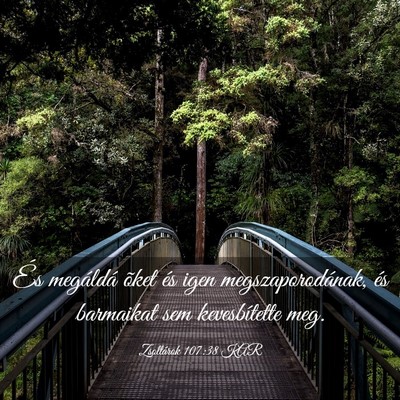 Picture 03 - Zsoltárok 107:38 KAR - És megáldá õket és igen megszaporodának, - Bible Verse Picture