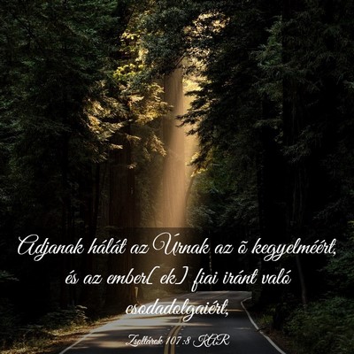 Picture 03 - Zsoltárok 107:8 KAR - Adjanak hálát az Úrnak az õ kegyelméért, - Bible Verse Picture