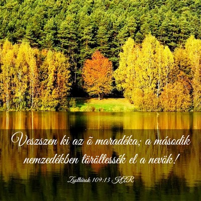 Picture 03 - Zsoltárok 109:13 KAR - Veszszen ki az õ maradéka; a második - Bible Verse Picture
