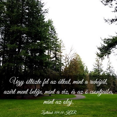 Picture 03 - Zsoltárok 109:18 KAR - Úgy öltözte fel az átkot, mint a ruháját, - Bible Verse Picture