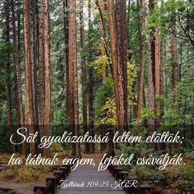 Picture 03 - Zsoltárok 109:25 KAR - Sõt gyalázatossá lettem elõttök; ha látnak - Bible Verse Picture