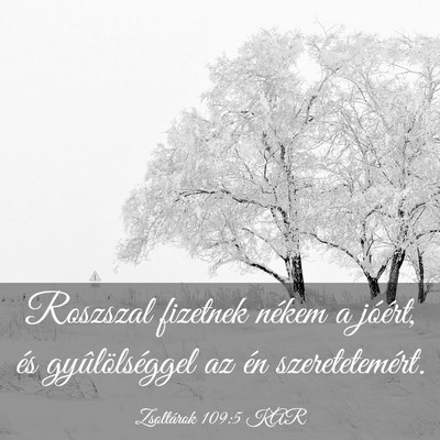 Picture 03 - Zsoltárok 109:5 KAR - Roszszal fizetnek nékem a jóért, és - Bible Verse Picture