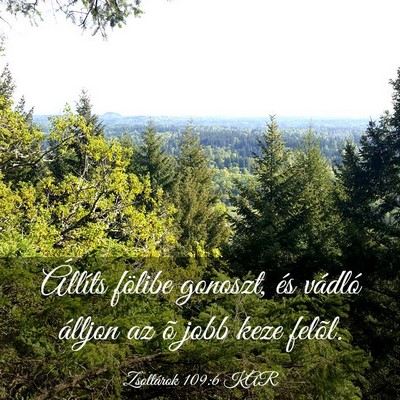 Picture 03 - Zsoltárok 109:6 KAR - Állíts fölibe gonoszt, és vádló álljon az - Bible Verse Picture
