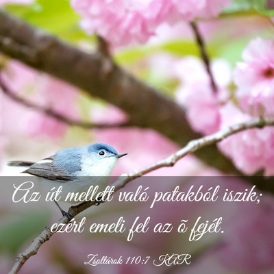 Picture 03 - Zsoltárok 110:7 KAR - Az út mellett való patakból iszik; ezért - Bible Verse Picture