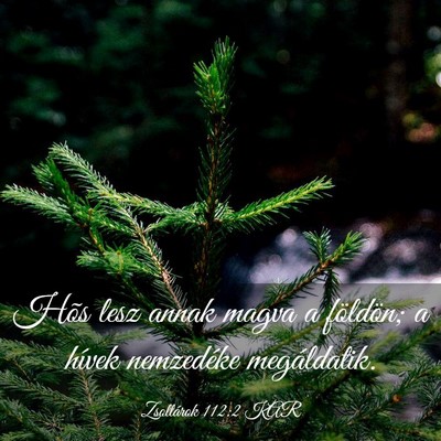 Picture 03 - Zsoltárok 112:2 KAR - Hõs lesz annak magva a földön; a hívek - Bible Verse Picture