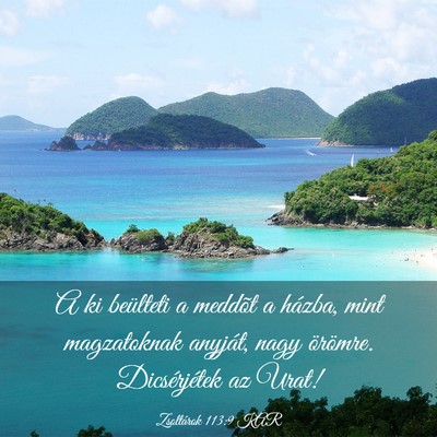 Picture 03 - Zsoltárok 113:9 KAR - A ki beülteti a meddõt a házba, mint - Bible Verse Picture