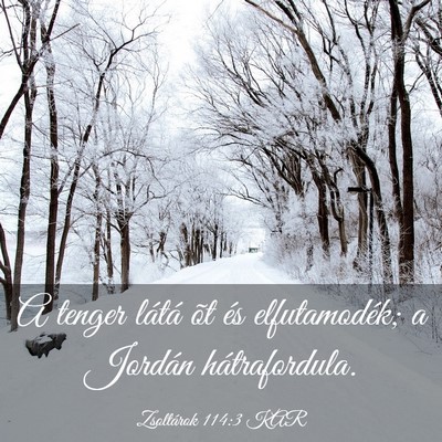 Picture 03 - Zsoltárok 114:3 KAR - A tenger látá õt és elfutamodék; a Jordán - Bible Verse Picture