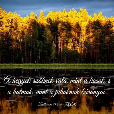 Picture 03 - Zsoltárok 114:4 KAR - A hegyek szöknek vala, mint a kosok, s a halmok, - Bible Verse Picture