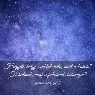 Picture 03 - Zsoltárok 114:6 KAR - Hegyek, hogy szöktök vala, mint a kosok? Ti - Bible Verse Picture