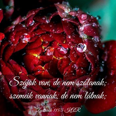 Picture 03 - Zsoltárok 115:5 KAR - Szájok van, de nem szólanak; szemeik vannak, de - Bible Verse Picture