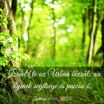 Picture 03 - Zsoltárok 115:9 KAR - Izráel! te az Úrban bízzál; az ilyenek - Bible Verse Picture
