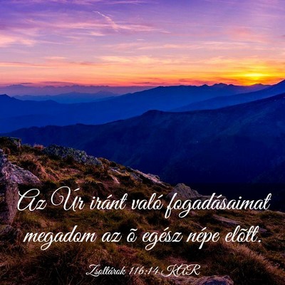 Picture 03 - Zsoltárok 116:14 KAR - Az Úr iránt való fogadásaimat megadom az õ - Bible Verse Picture