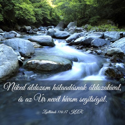 Picture 03 - Zsoltárok 116:17 KAR - Néked áldozom hálaadásnak áldozatával, és - Bible Verse Picture