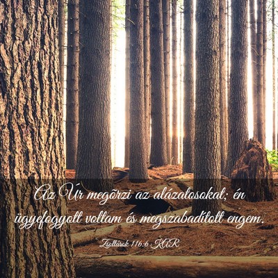 Picture 03 - Zsoltárok 116:6 KAR - Az Úr megõrzi az alázatosokat; én - Bible Verse Picture