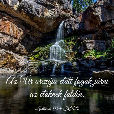 Picture 03 - Zsoltárok 116:9 KAR - Az Úr orczája elõtt fogok járni az élõknek - Bible Verse Picture
