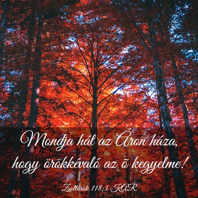 Picture 03 - Zsoltárok 118:3 KAR - Mondja hát az Áron háza, hogy örökkévaló - Bible Verse Picture