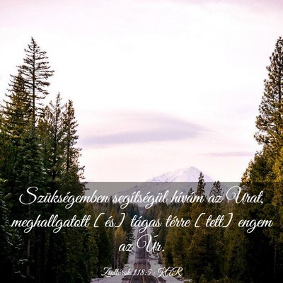 Picture 03 - Zsoltárok 118:5 KAR - Szükségemben segítségül hívám az Urat, - Bible Verse Picture