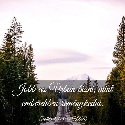 Picture 03 - Zsoltárok 118:8 KAR - Jobb az Úrban bízni, mint emberekben - Bible Verse Picture