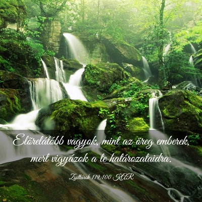 Picture 03 - Zsoltárok 119:100 KAR - Elõrelátóbb vagyok, mint az öreg emberek, - Bible Verse Picture
