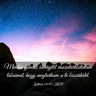 Picture 03 - Zsoltárok 119:101 KAR - Minden gonosz ösvénytõl visszatartóztattam - Bible Verse Picture
