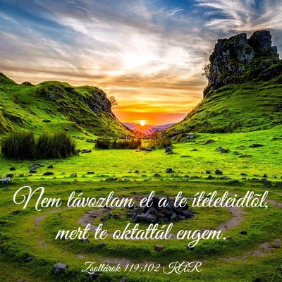 Picture 03 - Zsoltárok 119:102 KAR - Nem távoztam el a te ítéleteidtõl, mert te - Bible Verse Picture