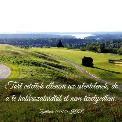 Picture 03 - Zsoltárok 119:110 KAR - Tõrt vetettek ellenem az istentelenek, de a te - Bible Verse Picture