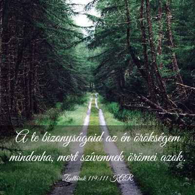 Picture 03 - Zsoltárok 119:111 KAR - A te bizonyságaid az én örökségem mindenha, - Bible Verse Picture