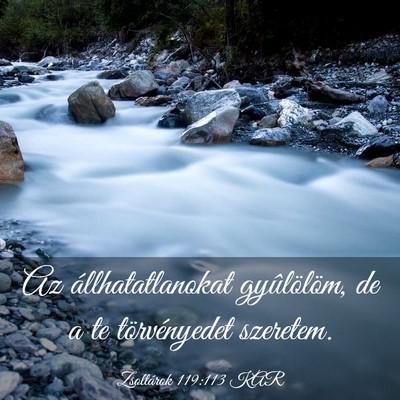 Picture 03 - Zsoltárok 119:113 KAR - Az állhatatlanokat gyûlölöm, de a te - Bible Verse Picture