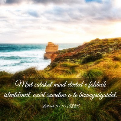 Picture 03 - Zsoltárok 119:119 KAR - Mint salakot mind elveted e földnek - Bible Verse Picture