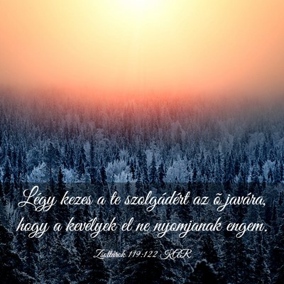 Picture 03 - Zsoltárok 119:122 KAR - Légy kezes a te szolgádért az õ javára, hogy - Bible Verse Picture
