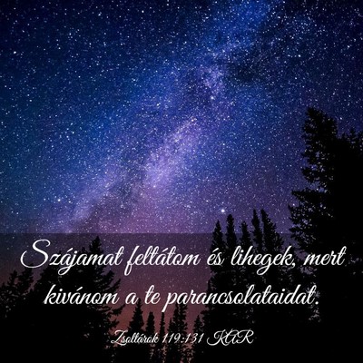 Picture 03 - Zsoltárok 119:131 KAR - Szájamat feltátom és lihegek, mert kivánom a - Bible Verse Picture