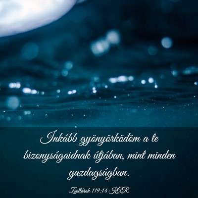 Picture 03 - Zsoltárok 119:14 KAR - Inkább gyönyörködöm a te bizonyságaidnak - Bible Verse Picture