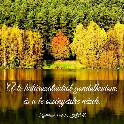 Picture 03 - Zsoltárok 119:15 KAR - A te határozataidról gondolkodom, és a te - Bible Verse Picture