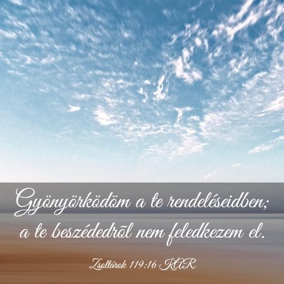 Picture 03 - Zsoltárok 119:16 KAR - Gyönyörködöm a te rendeléseidben; a te - Bible Verse Picture