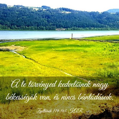 Picture 03 - Zsoltárok 119:165 KAR - A te törvényed kedvelõinek nagy békességök - Bible Verse Picture