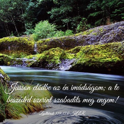 Picture 03 - Zsoltárok 119:170 KAR - Jusson elõdbe az én imádságom; a te beszéded - Bible Verse Picture