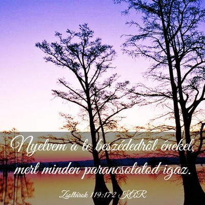 Picture 03 - Zsoltárok 119:172 KAR - Nyelvem a te beszédedrõl énekel, mert minden - Bible Verse Picture