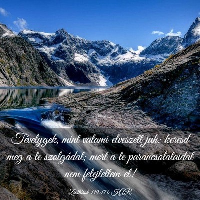 Picture 03 - Zsoltárok 119:176 KAR - Tévelygek, mint valami elveszett juh: keresd meg - Bible Verse Picture