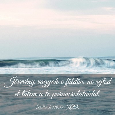 Picture 03 - Zsoltárok 119:19 KAR - Jövevény vagyok e földön, ne rejtsd el tõlem - Bible Verse Picture