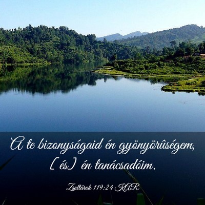 Picture 03 - Zsoltárok 119:24 KAR - A te bizonyságaid én gyönyörûségem, [és] - Bible Verse Picture