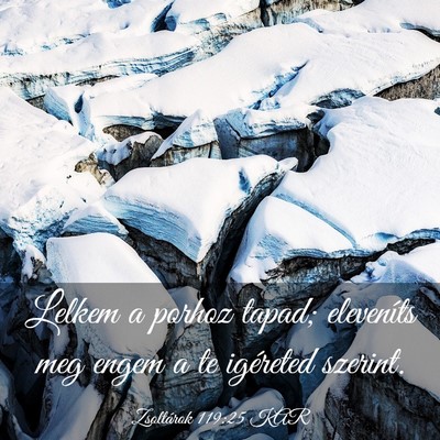 Picture 03 - Zsoltárok 119:25 KAR - Lelkem a porhoz tapad; eleveníts meg engem a te - Bible Verse Picture