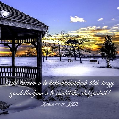 Picture 03 - Zsoltárok 119:27 KAR - Add értenem a te határozataidnak útát, hogy - Bible Verse Picture