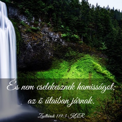 Picture 03 - Zsoltárok 119:3 KAR - És nem cselekesznek hamisságot; az õ útaiban - Bible Verse Picture