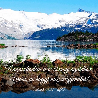 Picture 03 - Zsoltárok 119:31 KAR - Ragaszkodom a te bizonyságaidhoz; Uram, ne hagyj - Bible Verse Picture