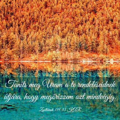Picture 03 - Zsoltárok 119:33 KAR - Taníts meg Uram a te rendeléseidnek útjára, - Bible Verse Picture