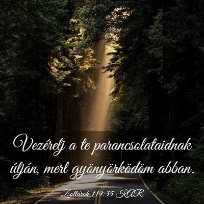 Picture 03 - Zsoltárok 119:35 KAR - Vezérelj a te parancsolataidnak útján, mert - Bible Verse Picture