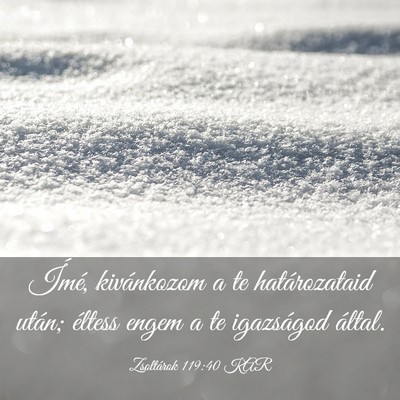 Picture 03 - Zsoltárok 119:40 KAR - Ímé, kivánkozom a te határozataid után; - Bible Verse Picture